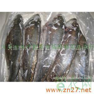 美国进口银鲳鱼 供应冷冻粗加工水产品详解