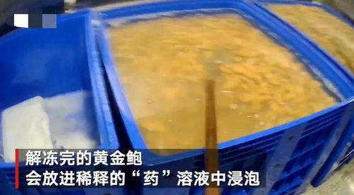 触目惊心!大连海产品加工厂两大食品黑科技曝光,消费者需警惕识别