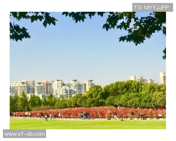 张昊：从平凡到卓越的奋斗历程与人生感悟分享