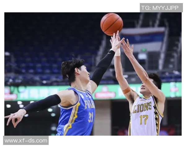 广厦与福建精彩对决央视录像回放全程回顾与分析