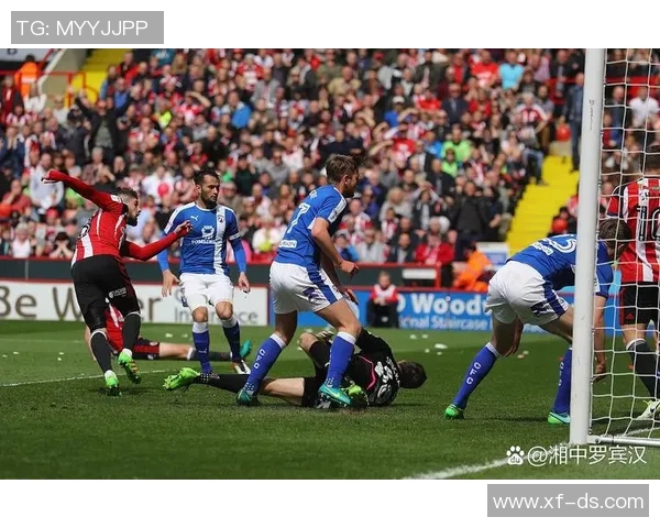 狼队对阵埃弗顿精彩视频直播全程回顾与赛后分析