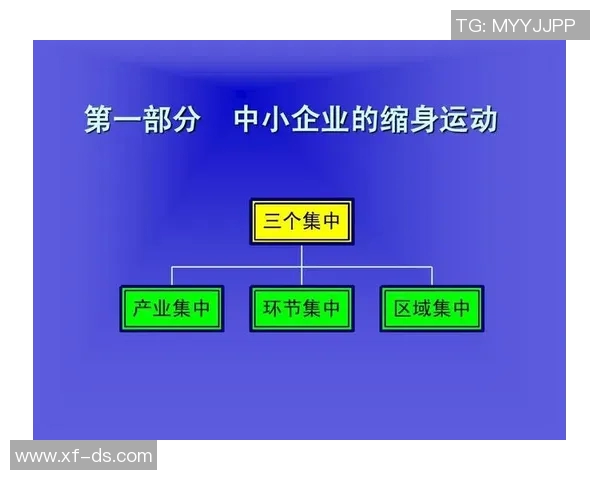 杭州乒乓球队的反击之路：从挑战到辉煌的全景解读MBA