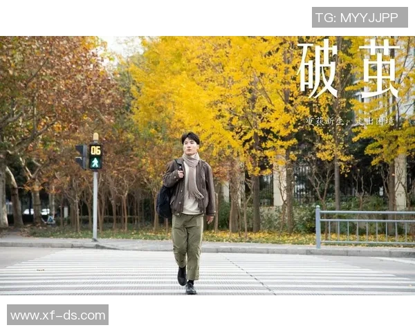 良田篮球明星的成长之路与梦想追逐的精彩故事