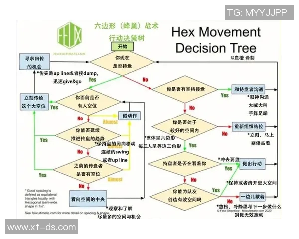 南京飞盘队战术解析与对手战术的深度比较与启示