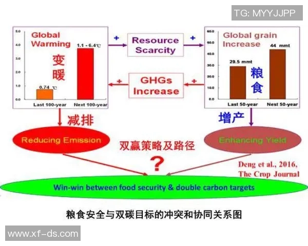 和平精英战术解析：深入了解BLG团队配合与策略运用